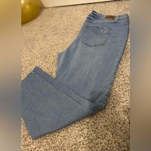 Hot In Hollywood - Santa Monica Skinny Jean - Size 2X - chambray color